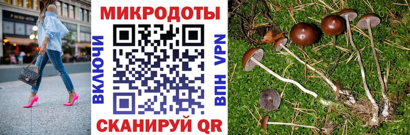 дарнет шоп  Бийск  Псилоцибиновые грибы MAGIC MUSHROOMS 