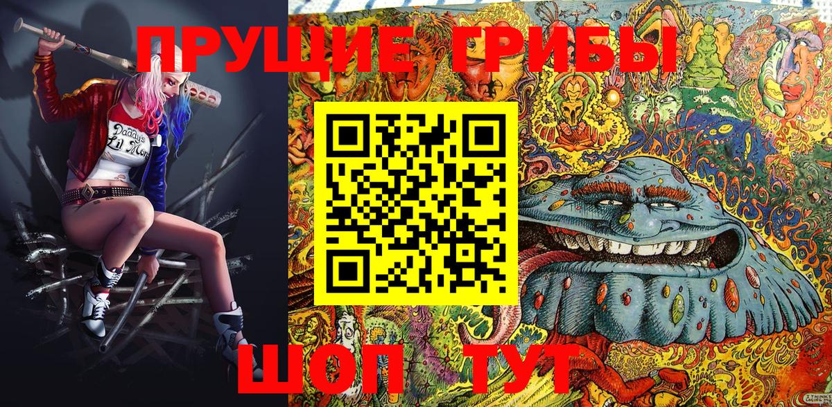 Галлюциногенные грибы Magic Shrooms  Бийск 